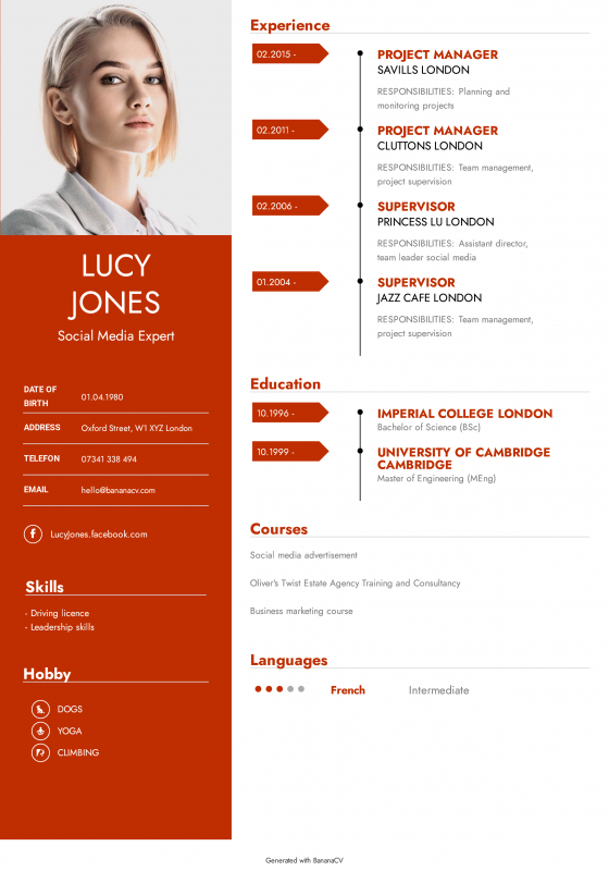 Available CV templates